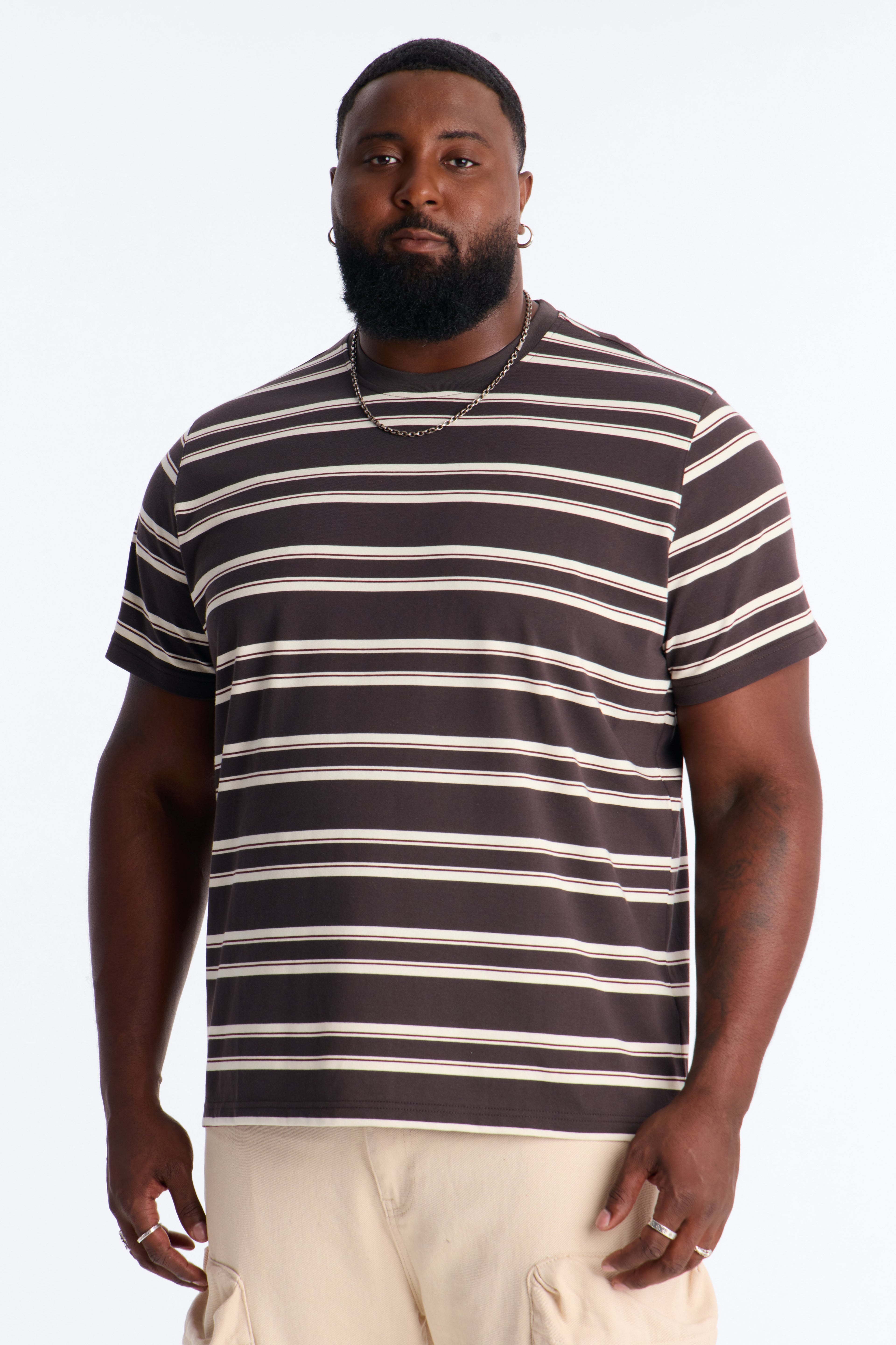 Casey Stripe Crewneck Tee - Brown/combo
