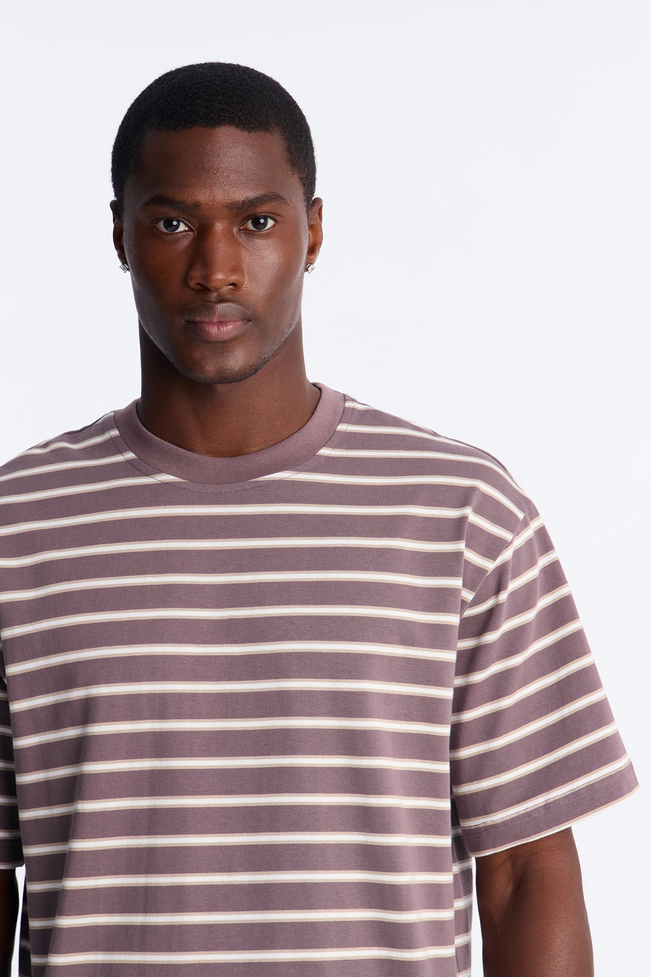Levitt Stripe Relaxed Crewneck Tee - Purple/combo image 3