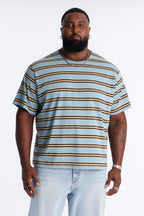 Stefan Stripe Crewneck Tee - Blue/combo